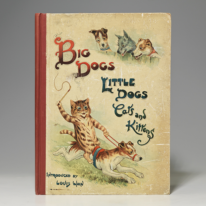 Big Dogs Little Dogs Cats and Kittens