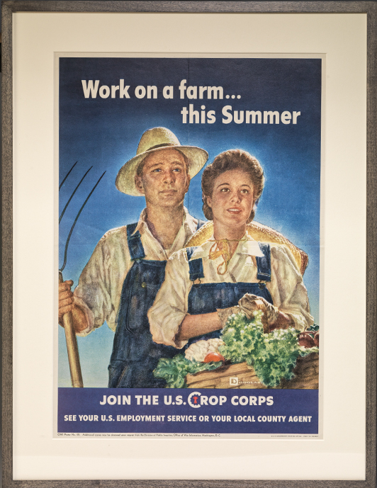 Poster: Work on a farm... this Summer