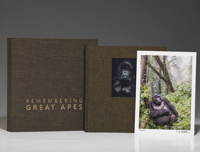 Remembering Great Apes