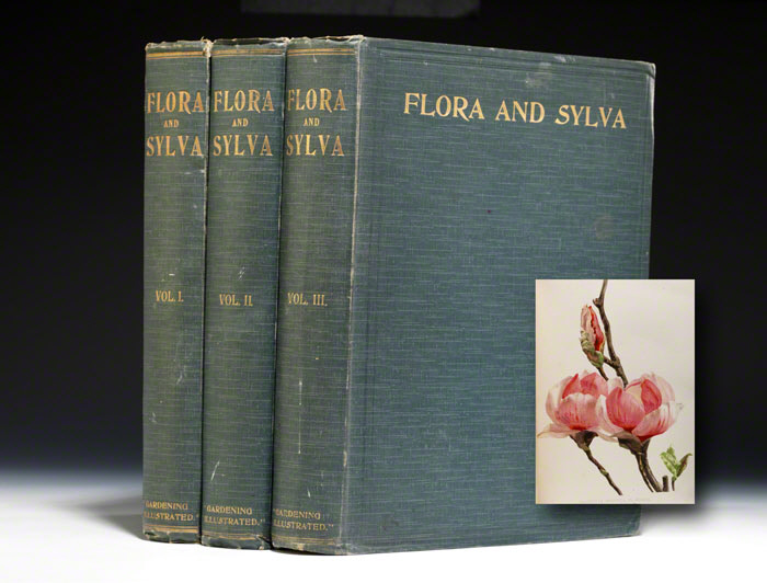 Flora and Sylva