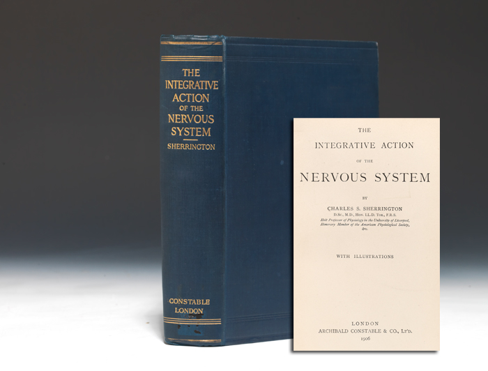 Integrative Action of the Nervous System